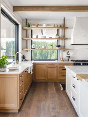 CABINET DOORS